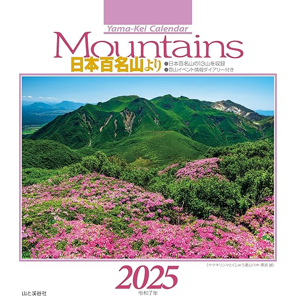 超レア！山◯組カレンダー本物 2025年 壁掛けカレンダー 超レア！山◯組カレンダー本物 2025年 壁掛けカレンダー 壁かけ